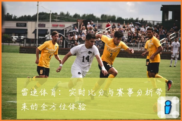 雷速体育：实时比分与赛事分析带来的全方位体验