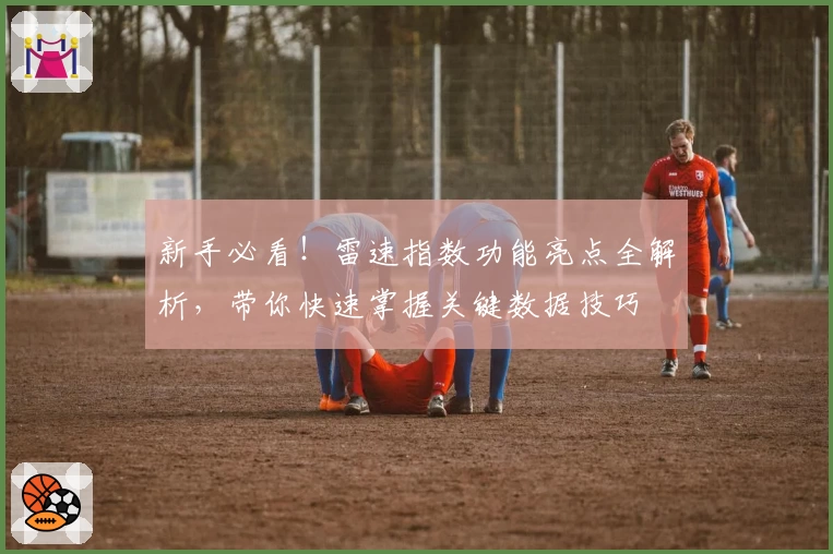 新手必看！雷速指数功能亮点全解析，带你快速掌握关键数据技巧