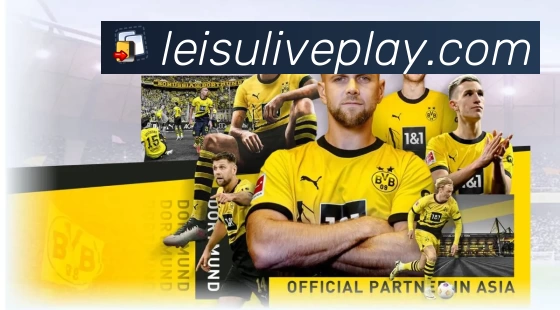 体育平台欢迎图